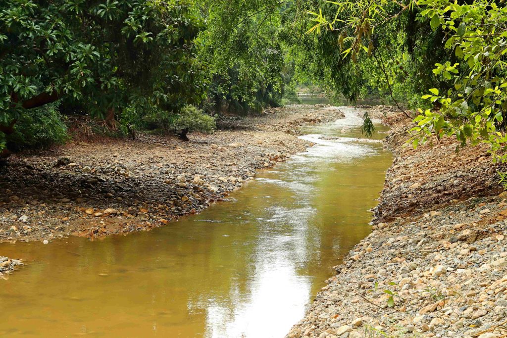 Sungai tercemar pestisida